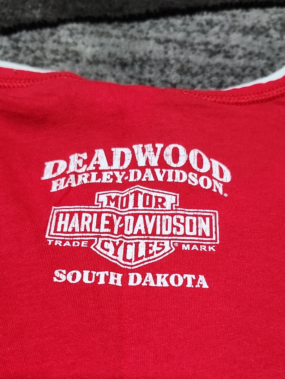 HARLEY DAVIDSON 2007 IRIDESCENT RAISED SNOWFLAKE GRAPHIC LAYERED-LOOK TEE-SHIRT - Picture 12 of 14